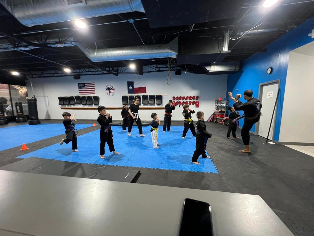 American Martial Arts Academy 2