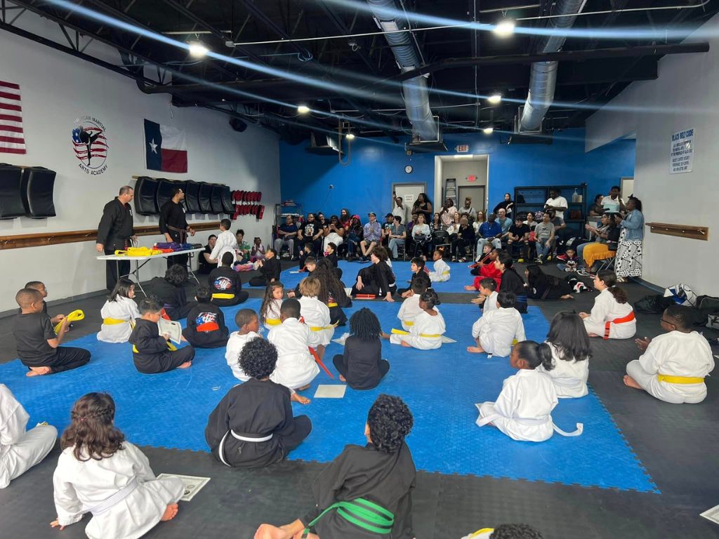 American Martial Arts Academy 1