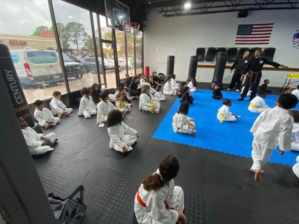 American Martial Arts Academy