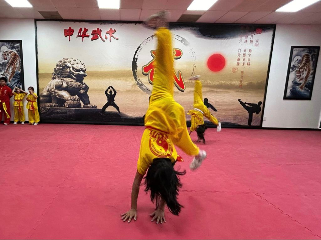 American Shaolin Kung Fu 1