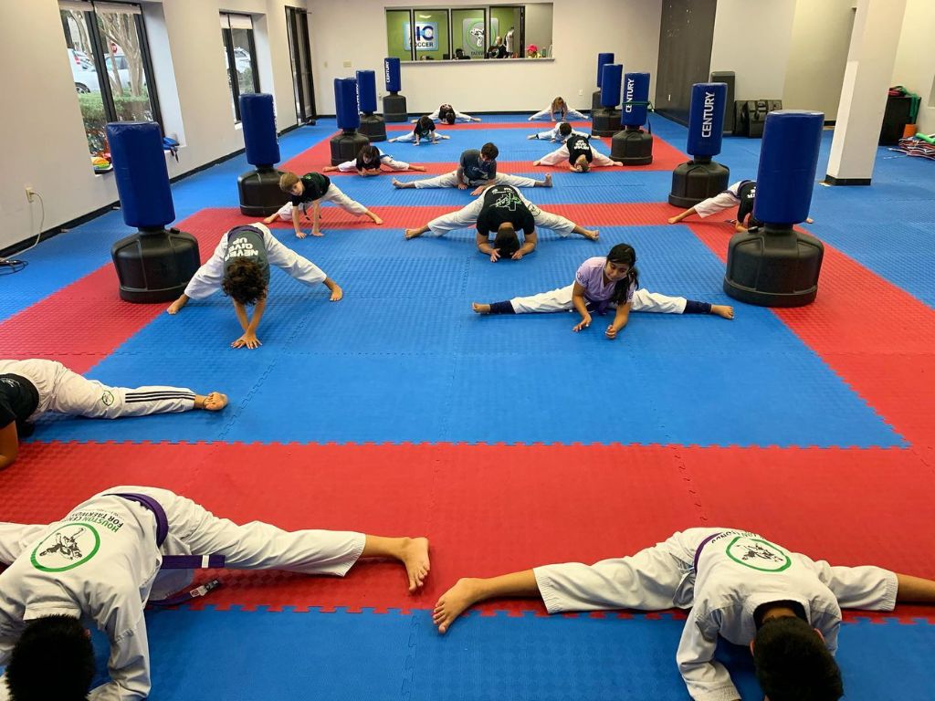 Houston Center of Taekwondo 1