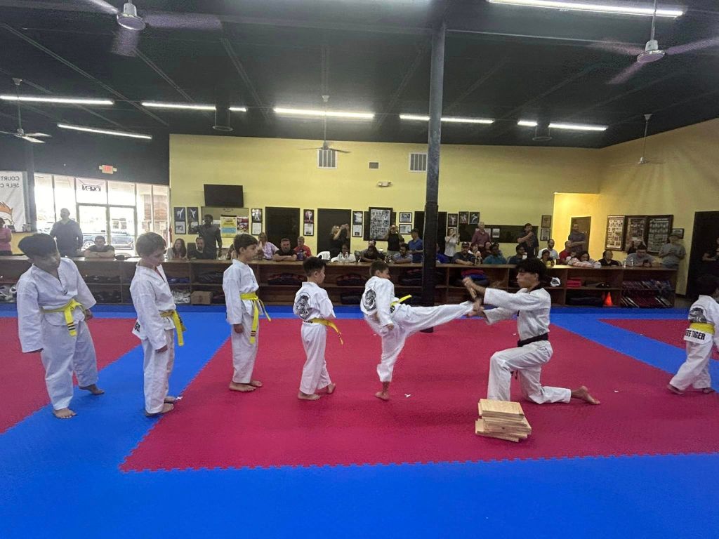 White Tiger Taekwondo 1