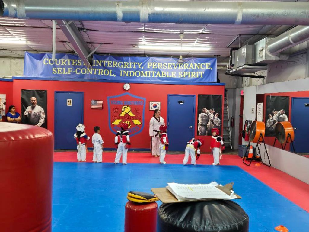 Young Brothers Taekwondo Associates 2